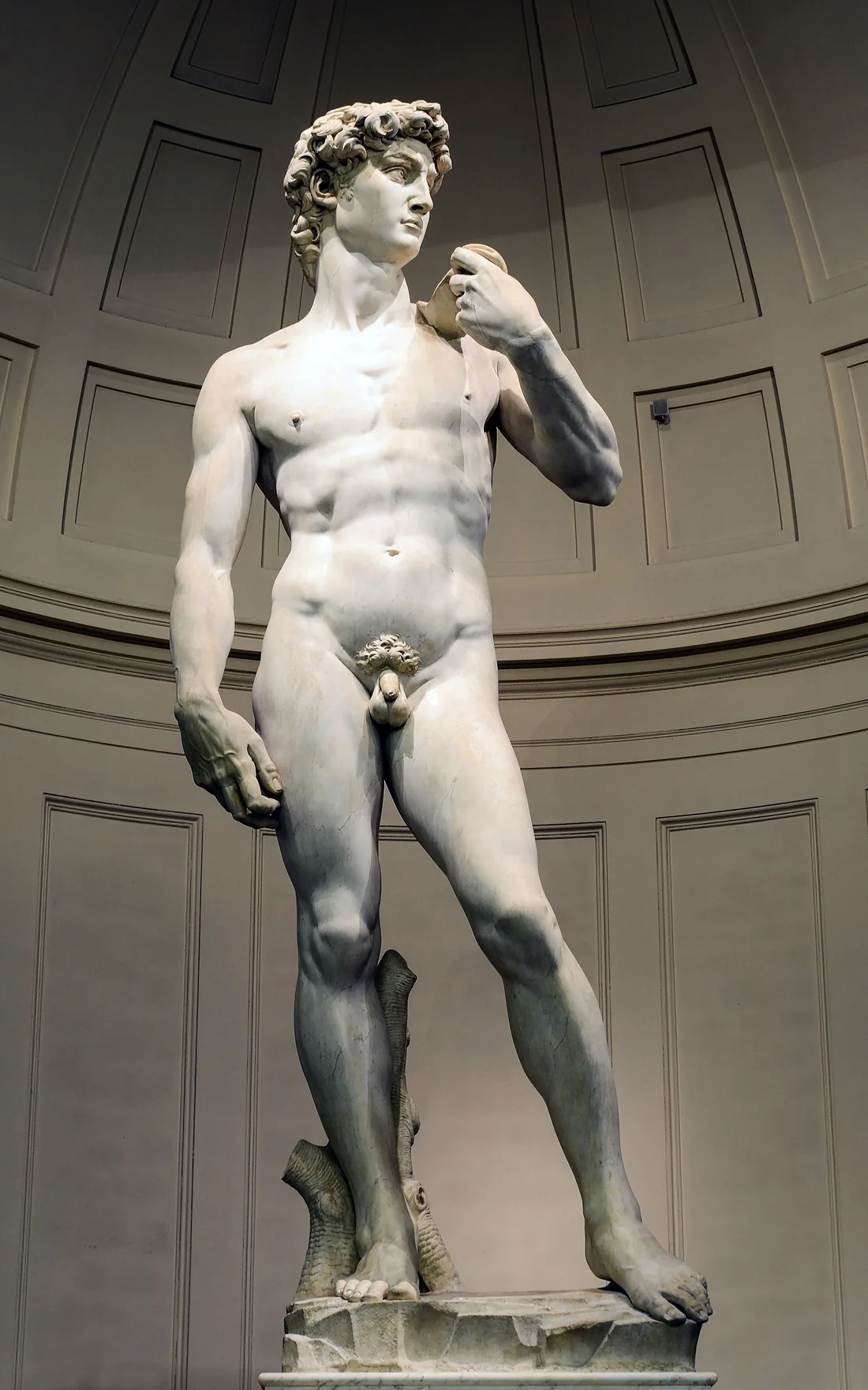 David — Michelangelo Buonarroti